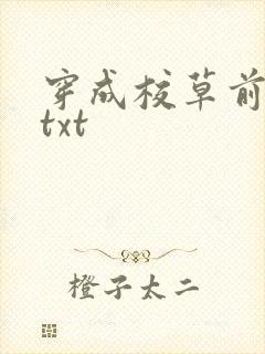 穿成校草前男友txt