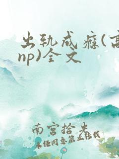 出轨成瘾(高hnp)全文