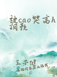 被cao哭高h调教