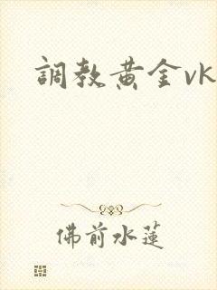 调教黄金vk