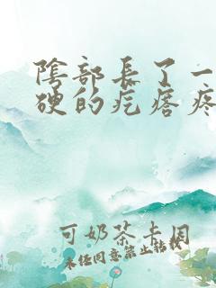 阴部长了一个硬硬的疙瘩疼