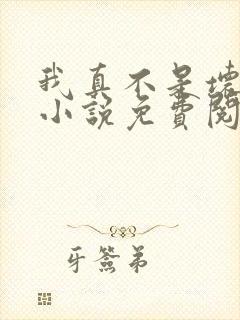 我真不是坏男人小说免费阅读