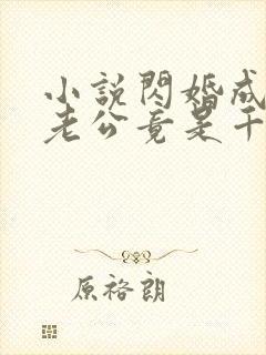 小说闪婚成宠,老公竟是千亿大佬