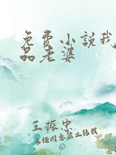 免费小说我的极品老婆