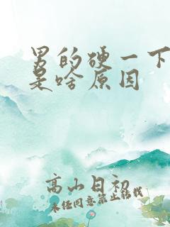 男的硬一下又软是啥原因