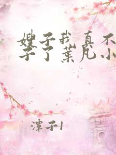 嫂子我真不是傻子了叶凡小说.txt