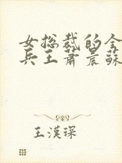 女总裁的全能型兵王萧晨苏晴