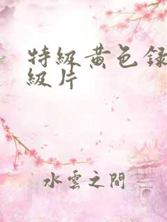 特级黄色录像一级片