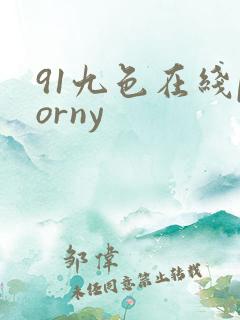 91九色在线porny