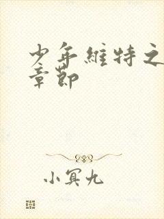 少年维特之烦恼章节