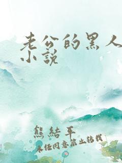 老公的黑人同事小说