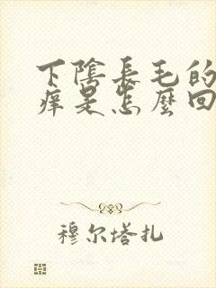 下阴长毛的地方痒是怎么回事