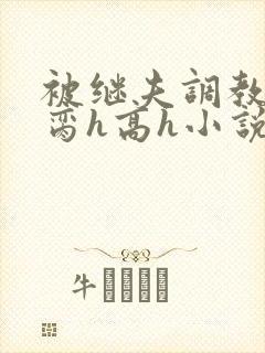 被继夫调教成禁脔h高h小说