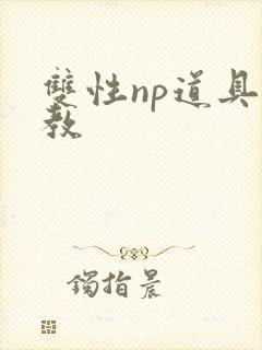 双性np道具调教