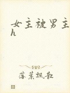 女主被男主调教h