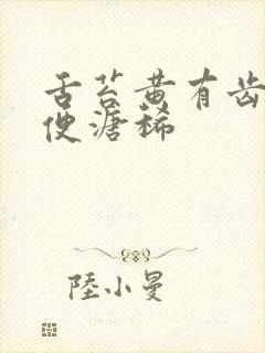 舌苔黄有齿痕大便溏稀