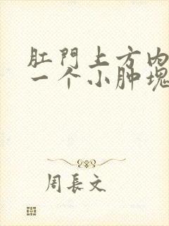 肛门上方内部有一个小肿块 按压疼痛