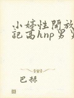 小婷性开放肉日记高hnp男男