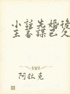 小说先婚后爱男主蓄谋已久