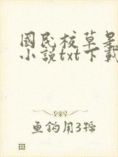 国民校草是女生小说txt下载