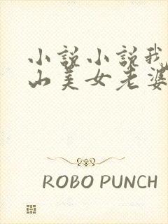 小说小说我的冰山美女老婆