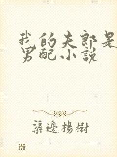 我的夫郎是恶毒男配小说