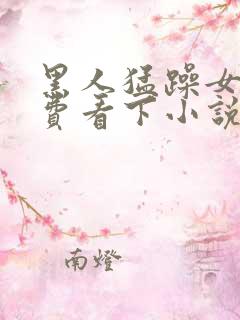 黑人猛躁女人免费看下小说