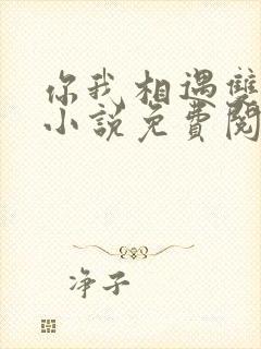 你我相遇双女主小说免费阅读