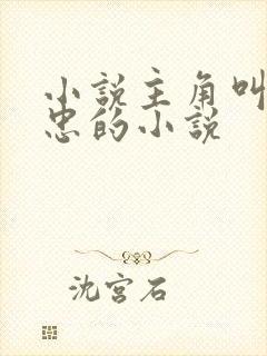 小说主角叫江建忠的小说