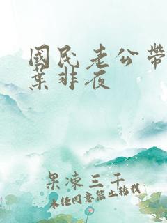 国民老公带回家叶非夜