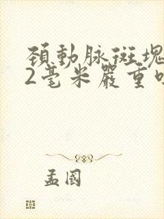 颈动脉斑块1.2毫米严重吗