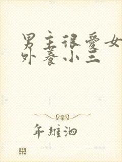 男主很爱女主在外养小三