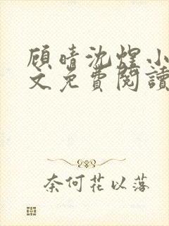 顾晴沈煜小说全文免费阅读