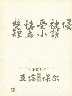 双性受被侵犯的短篇小说