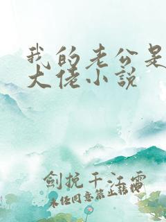 我的老公是商界大佬小说