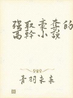 强取豪夺的男主高干小说