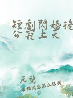 短剧闪婚后被老公宠上天