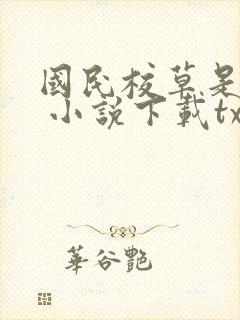 国民校草是女生 小说下载txt