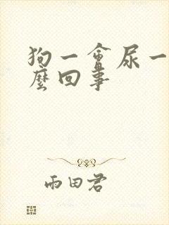 狗一会尿一点怎么回事