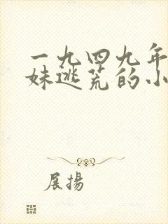 一九四九年带弟妹逃荒的小说