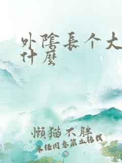 外阴长个大痘是什么