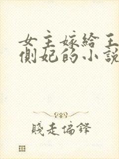 女主嫁给王爷当侧妃的小说