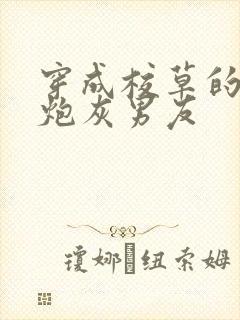 穿成校草的纯1炮灰男友