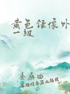 黄色录像外国特一级