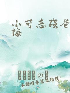 小可志强爸爸阿梅