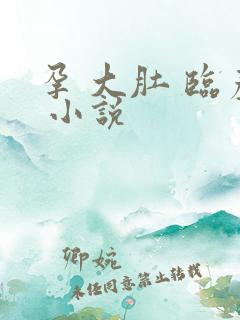 孕 大肚 临产 小说