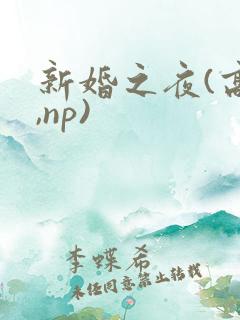 新婚之夜(高h,np)