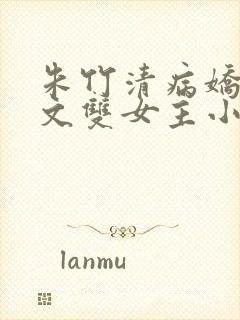 朱竹清病娇百合文双女主小说