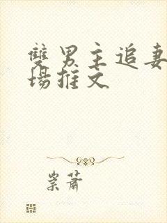 双男主追妻火葬场推文