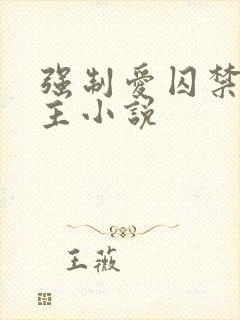 强制爱囚禁双男主小说